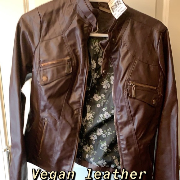 Clothes - Picture 2 of 11